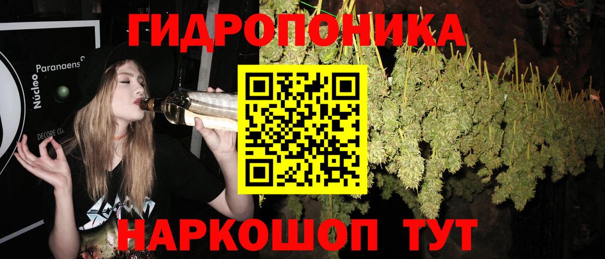 Бошки марихуана White Widow Краснокаменск